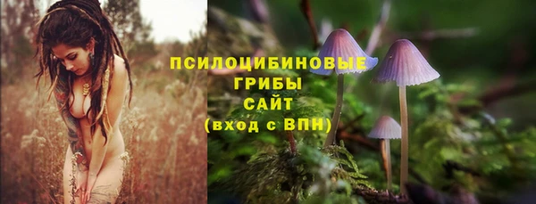 дмт Киреевск