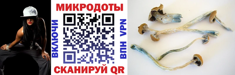 mega ссылка  мориарти наркотические препараты  Кущёвская  Галлюциногенные грибы ЛСД  даркнет сайт 